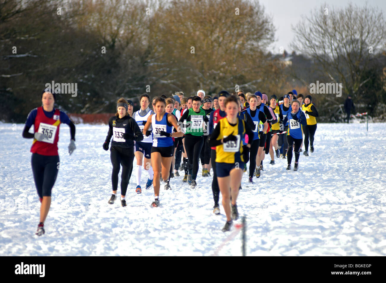 Start of women`s crosscountry running race in snow Stock Photo Alamy